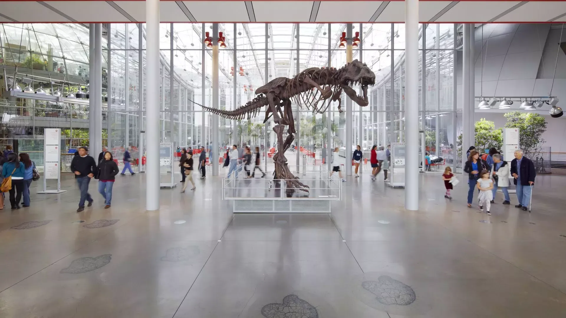 Dinosaur at the California Academy of Sciences